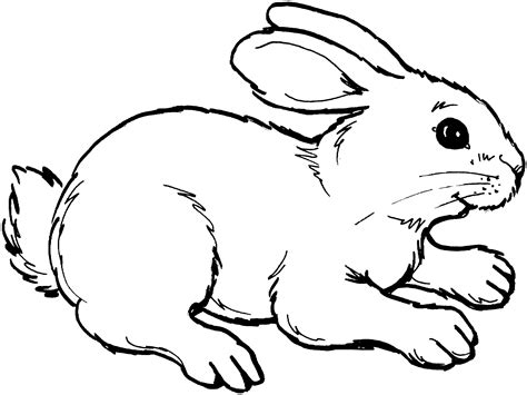 free clip art rabbit|free printable rabbit drawings.